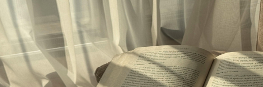 Captura de pantalla 2026-04-10 123418